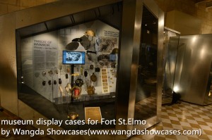museum display cases-irregular design